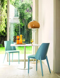 Shell Dining Chair by Bross - Bauhaus 2 Your House